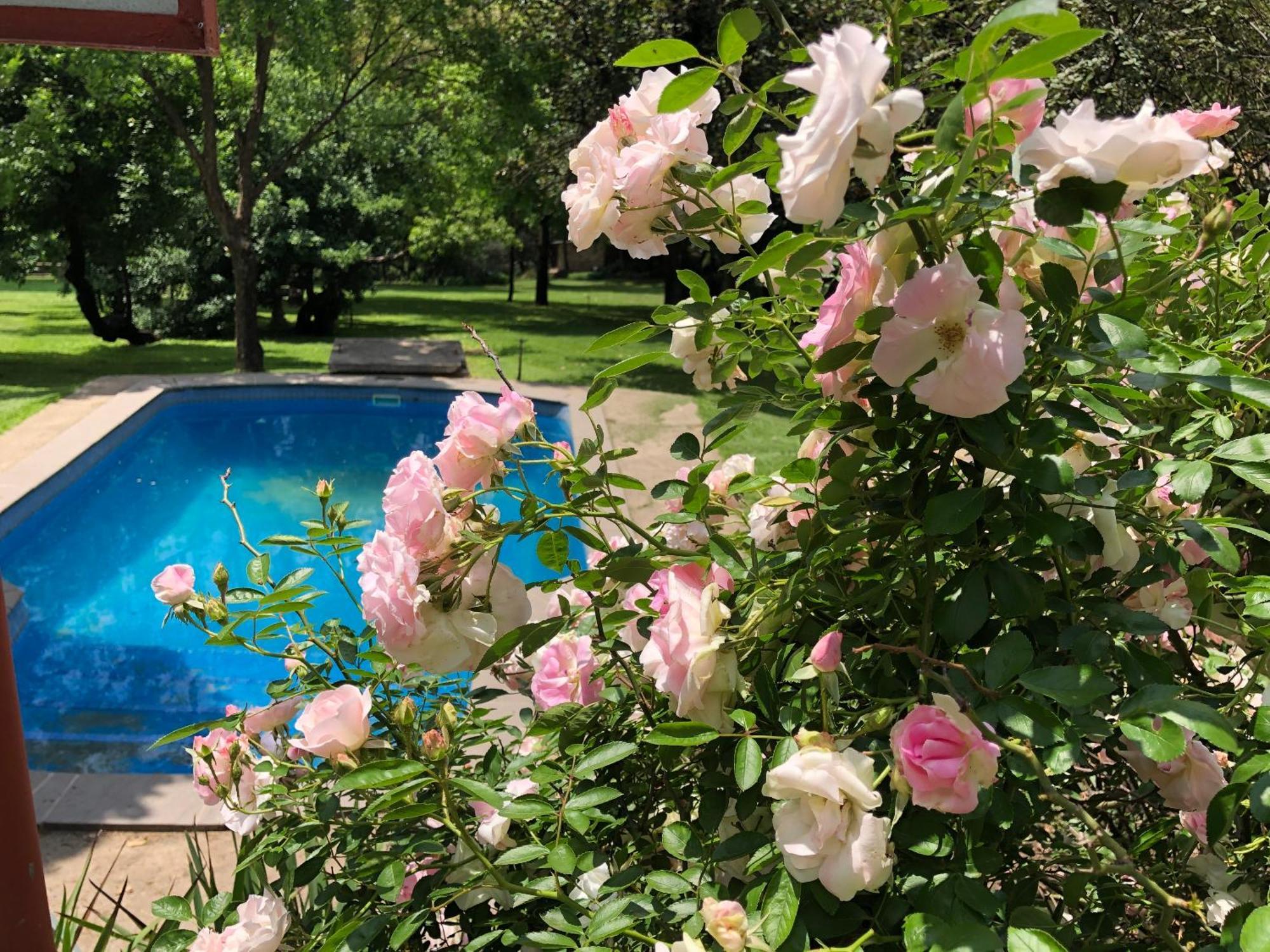 Hills And Dales Accommodation لانسيريا المظهر الخارجي الصورة