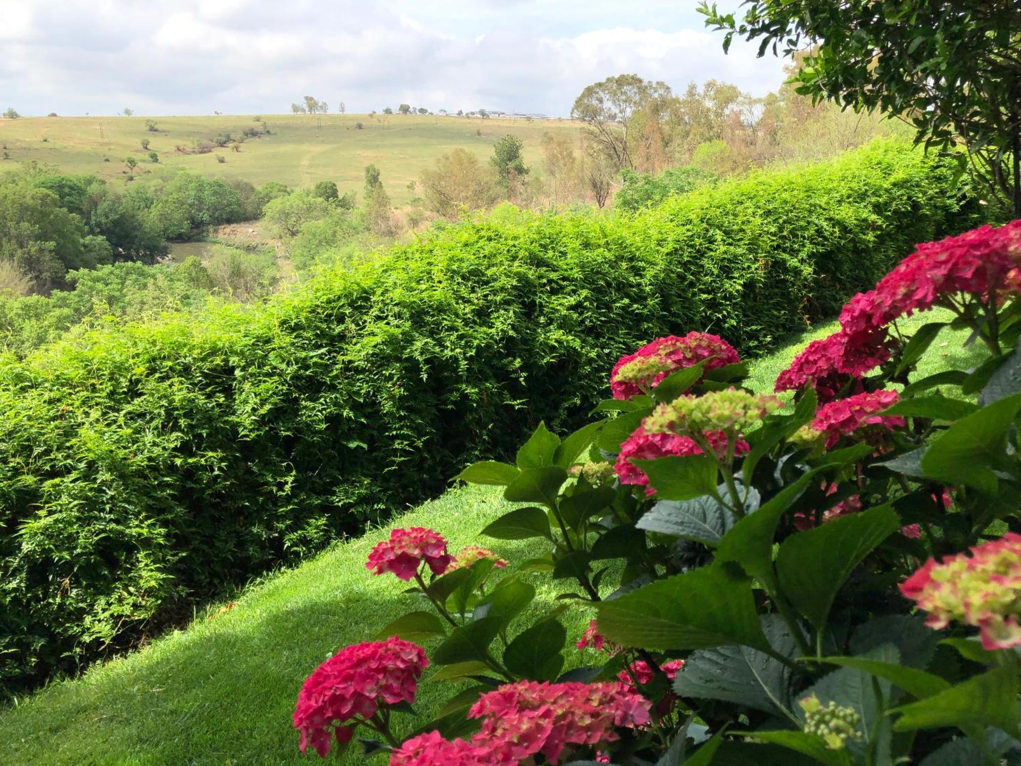 Hills And Dales Accommodation لانسيريا المظهر الخارجي الصورة